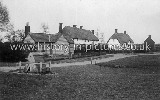 The Village, Hatfield Broad Oak, Essex. c.1910